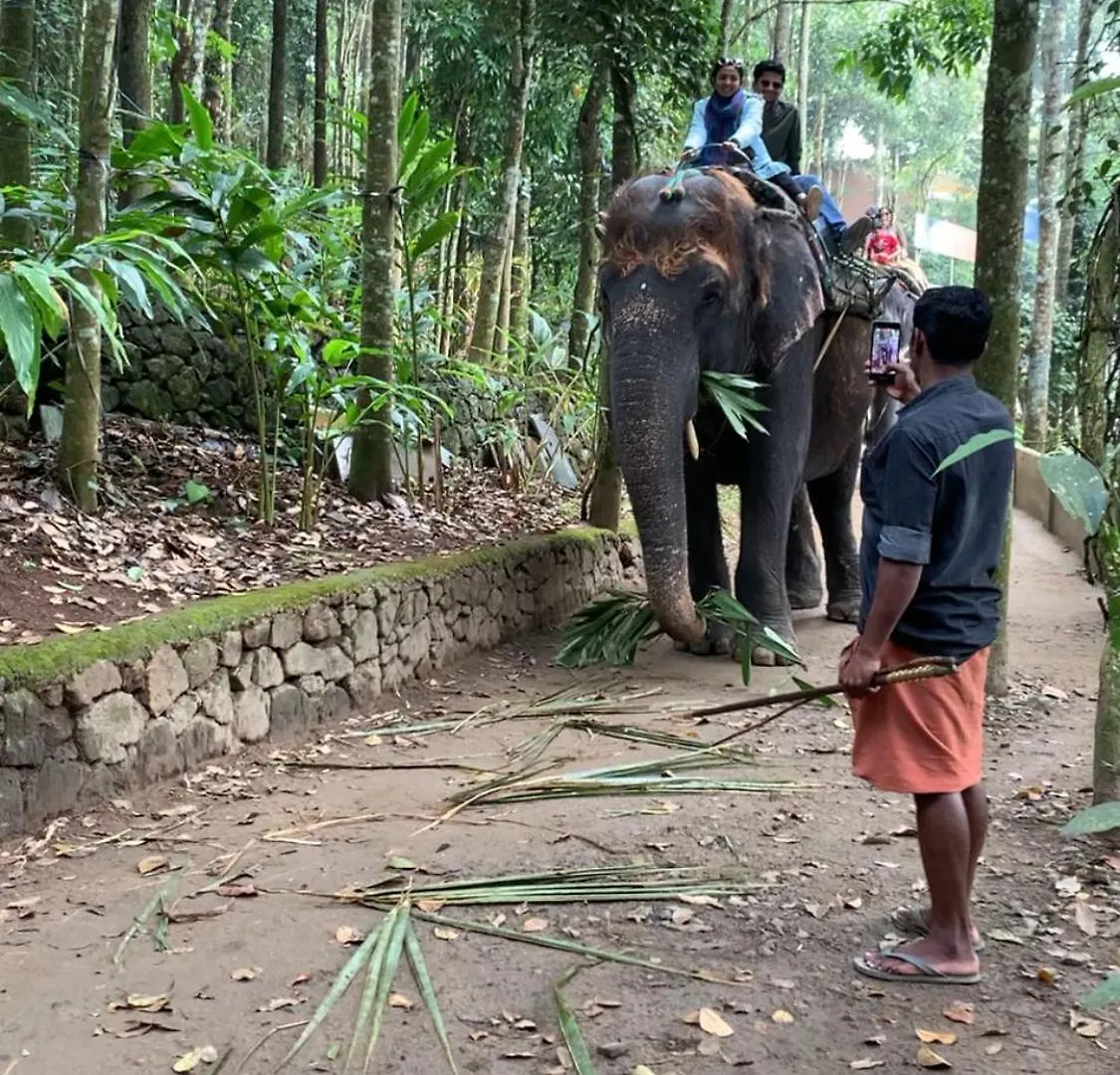 Homestay Aishwarya Residency And Cafeteria Apartment Thekkady India
